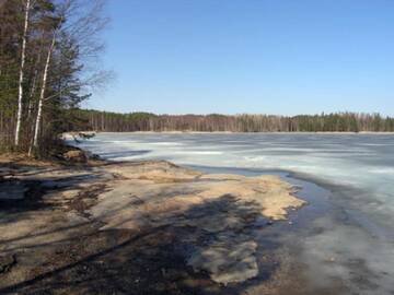 Фото номера Дом для отпуска Дома для отпуска Holiday Home Koivuranta г. Kokkosenlahti 26